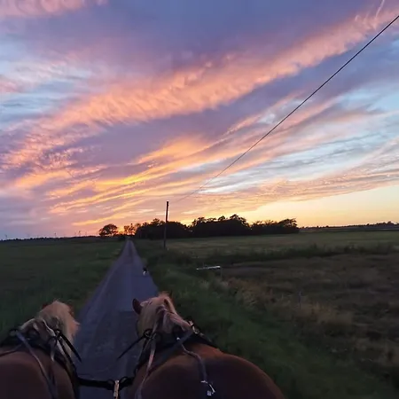 Wasserslebener Weg Apartmán Emmelsbüll-Horsbüll